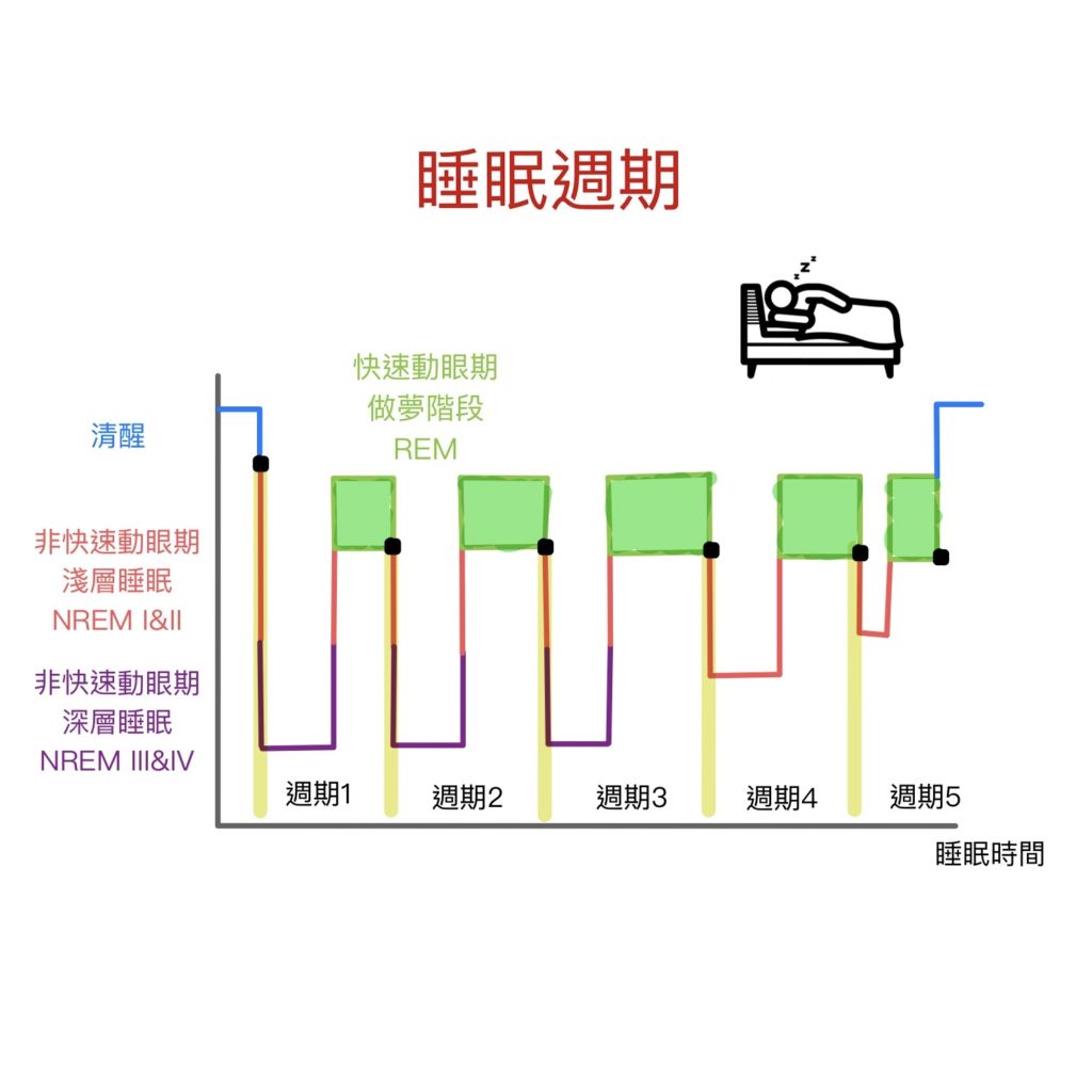 睡眠週期